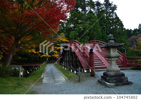秋天的入都姬神社 104745802