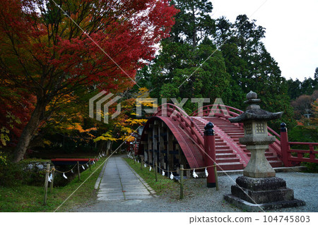 秋天的入都姬神社 104745803
