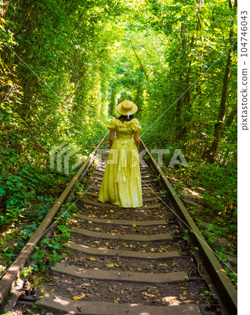Scenic railway in the summer forest. Tunnel of love in Klevan, Ukraine Scenic railway in the summer forest. Tunnel of love in Klevan, Ukraine 104746043