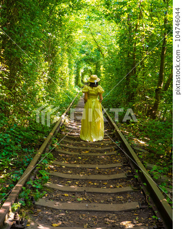 Scenic railway in the summer forest. Tunnel of love in Klevan, Ukraine Scenic railway in the summer forest. Tunnel of love in Klevan, Ukraine 104746044