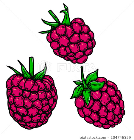 Set of Illustrations of raspberry in engraving style. Design element for poster, card, banner, sign. Vector illustration Set of Illustrations of raspberry in engraving style. Design element for poster, card, banner, sign. Vector illustration 104746539