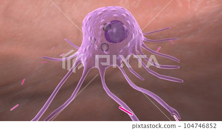 The Tuberculosis Infected Alveolar Macrophage The Tuberculosis Infected Alveolar Macrophage 104746852