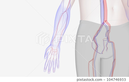 Peripheral vascular disease is narrowing of the arteries outside your heart, usually in your arms and legs Peripheral vascular disease is narrowing of the arteries outside your heart, usually in your arms and legs 104746933