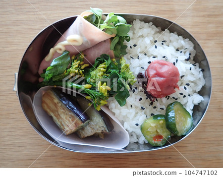 Bento box of kaiware ham rolls, eggplant boiled, and rape blossoms boiled 104747102