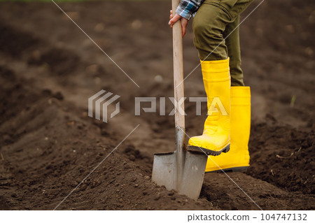 Female Worker digs soil with shovel in the vegetable garden. Agriculture and tough work concept Female Worker digs soil with shovel in the vegetable garden. Agriculture and tough work concept 104747132