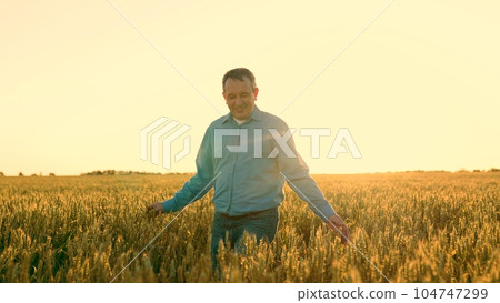 Experience the Golden Harvest with Our Expert Agronomist Our skilled agriculturist walks through the lush green fields, inspecting every ripe ear of wheat with care. As the sun sets, 104747299