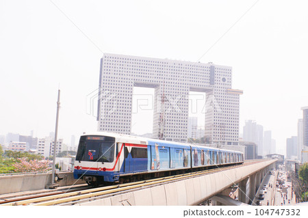 elephant, elephants, bangkok 104747332