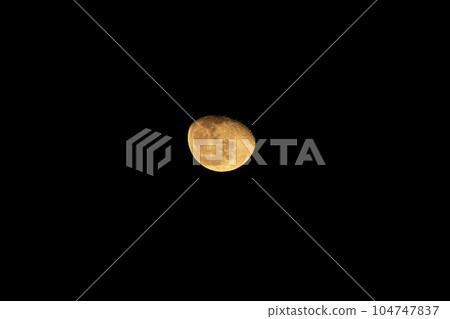 Moon Moon 104747837