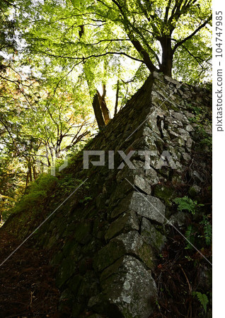 從高取城跡出發 從高取城跡出發 104747985