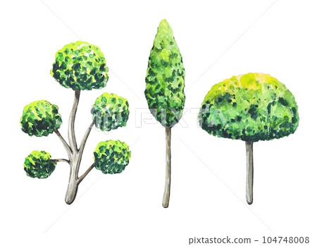 Collection of green trees, watercolor on white background Collection of green trees, watercolor on white background 104748008