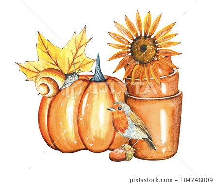 Autumn watercolor composition with pumpkin, snail, bird, pots. Autumn watercolor composition with pumpkin, snail, bird, pots. 104748009