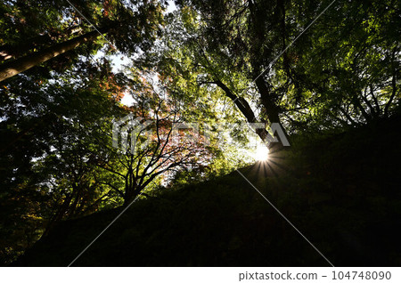 Takatori Castle Ruins in Autumn 104748090