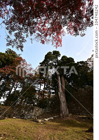 秋天的高取城跡 104748242