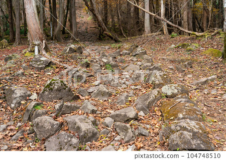 Mt. Nagi: Cobbled mountain trail in late autumn, Nagi-cho, Katsuta-gun, Okayama Prefecture 104748510