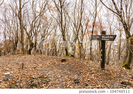 Mt. Nagi A traversing course in late autumn seen from the ridgeline, Nagi-cho, Katsuta-gun, Okayama Prefecture 104748511