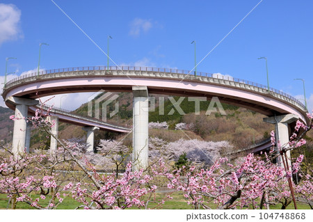 山梨縣南阿爾卑斯市栗渡新田、桃橋公園的桃花和染井吉野櫻花盛開的桃橋環景 山梨縣南阿爾卑斯市栗渡新田、桃橋公園的桃花和染井吉野櫻花盛開的桃橋環景 104748868