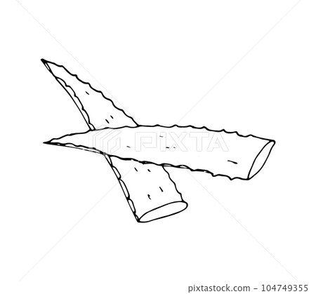 Aloe vera leavs 104749355