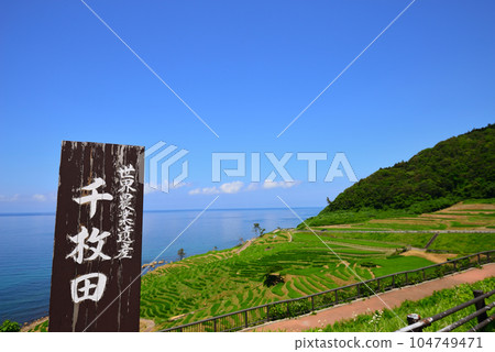 White rice senmaida (Wajima City, Ishikawa Prefecture) 104749471