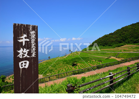 White rice senmaida (Wajima City, Ishikawa Prefecture) 104749472