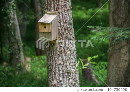 Bird protection nest boxes 104750408