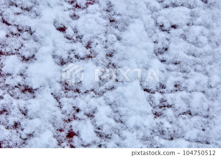 Wet melted snow stuck to wooden wall. 104750512