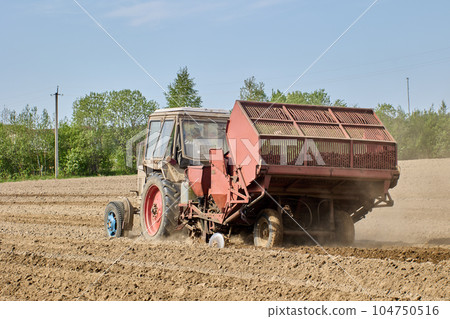 Wheeled tractor with potato planter plants potatoes in field during spring sowing. 104750516