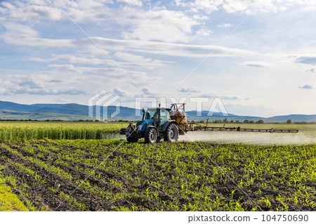 Tractor fertilizes crops 104750690