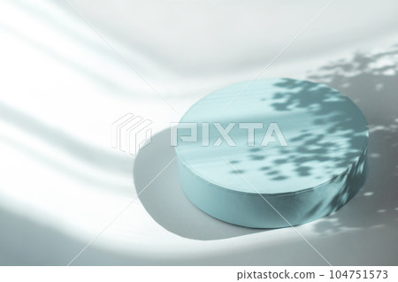 Podium for cosmetic product presentation. Abstract minimal form with geometrical form. Cylinder podium with Floral sunlight shadow. Scene to show products. Showcase, display case. Flat lay, top view 104751573