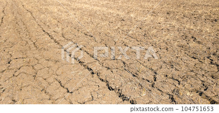 Dried cracked soil ground texture background 104751653