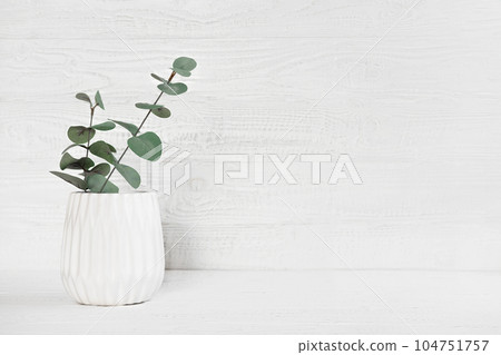 Eucalyptus branch in a Stylish Ceramic Vase on a Table. Detail of Contemporary Cozy Interior. Blank Space for Text on Wooden Wall. Nordic Background. Minimalistic Scandinavian Style. Empty Mockup Eucalyptus branch in a Stylish Ceramic Vase on a Table. Detail of Contemporary Cozy Interior. Blank Space for Text on Wooden Wall. Nordic Background. Minimalistic Scandinavian Style. Empty Mockup 104751757