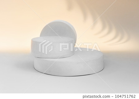 Podium for Cosmetics, Soap, Items Presentation. Abstract Minimal Geometric Sphere. Cylinder Two Forms, Soft Shadow. Scene to Show Product, Object. Showcase Display Case. Palm Leaf, Nude Tones Ad Stand 104751762