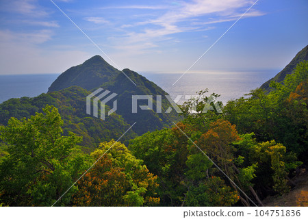 伊豆半島、南伊豆、波賀岬、波賀岬與野生猴子的景觀，靜岡縣南伊豆町 (2) 104751836