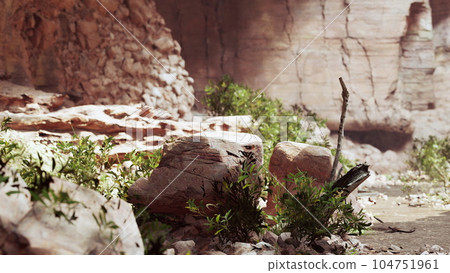 Stunning ancient cave in the tropical forest Stunning ancient cave in the tropical forest 104751961