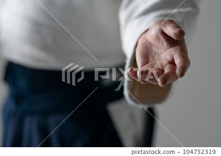 合氣道式手 104752319