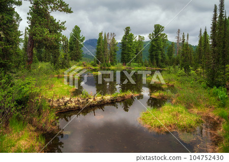 Mountain forest pond with fallen trees at the lakeshore. Lake in Ergaki on an summer morning among the taiga rocks with dramatic sky in the warm sun and trees. Mountain sunny landscape. Mountain forest pond with fallen trees at the lakeshore. Lake in Ergaki on an summer morning among the taiga rocks with dramatic sky in the warm sun and trees. Mountain sunny landscape. 104752430