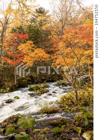 Autumn leaves of Akan River in Akan-Mashu National Park, Hokkaido 104752550