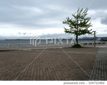 Park where the sea can be seen Park where the sea can be seen 104752960