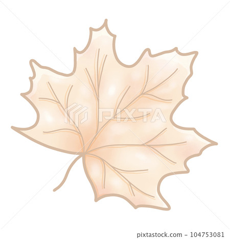 cute and sweet tone autumn illustration watercolor hand drawn 104753081