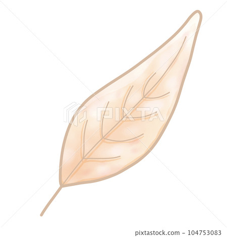 cute and sweet tone autumn illustration watercolor hand drawn 104753083