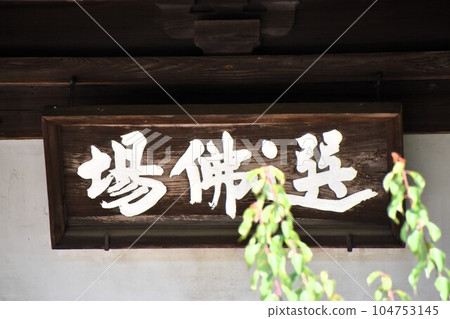 Kamakura Engakuji temple in early summer 104753145