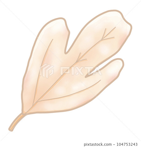 cute and sweet tone autumn illustration watercolor hand drawn 104753243