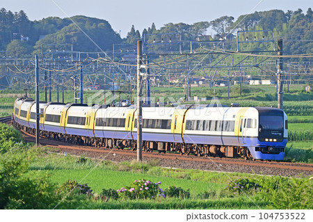 總武幹線 Monoi-Sakura JR 東日本系列 255 Be-03 編隊（幕張） Sazanami Wakashio Shiosai 104753522