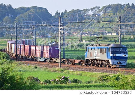 總武本線櫻花～物井 JR Freight EF210-164（新鶴見） 104753523