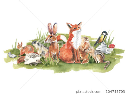 Cartoon woodland animals in meadow grass. Character fox, groundhog, rabbit, hedgehog, tit bird in green composition. Watercolor forest wildlife natural for childish design. stickers, decor 104753703