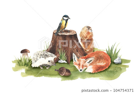Cartoon woodland animals in meadow grass. Character fox, groundhog, rabbit, hedgehog, tit bird in green composition. Watercolor forest wildlife natural for childish design. stickers, decor Cartoon woodland animals in meadow grass. Character fox, groundhog, rabbit, hedgehog, tit bird in green composition. Watercolor forest wildlife natural for childish design. stickers, decor 104754371