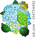 Colorful hydrangea 104754492