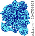 Blue hydrangea 104754493