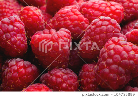 Berries, bunch of raspberries. Bunch of fresh, ripe red raspberries. Raspberries close up top view 104755899