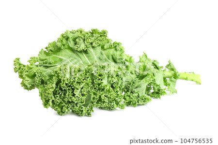 Fresh green kale leaf isolated on white Fresh green kale leaf isolated on white 104756535