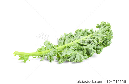 Fresh green kale leaf isolated on white Fresh green kale leaf isolated on white 104756536